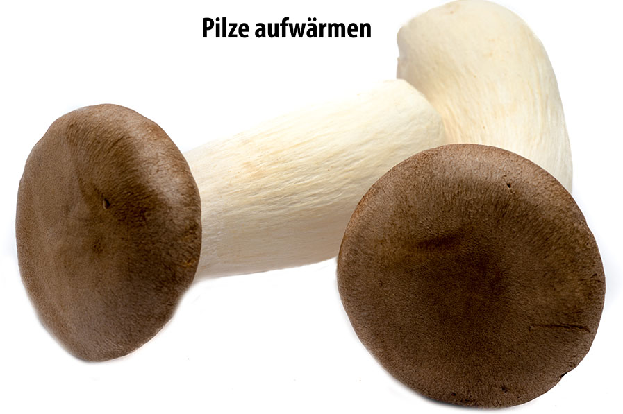 Pilze - gut zu wissen