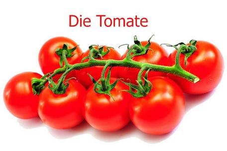 Strauchtomate